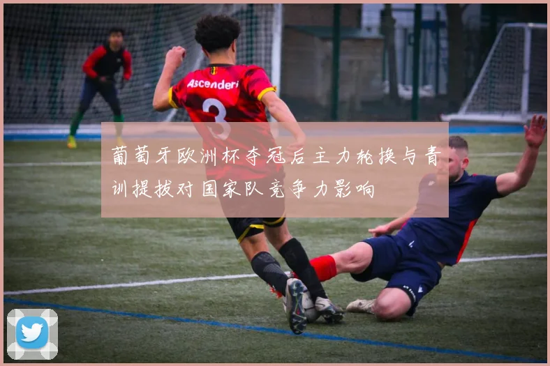 葡萄牙欧洲杯夺冠后主力轮换与青训提拔对国家队竞争力影响